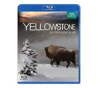 Yellowstone, La Lutte Pour La Vie - Blu-Ray