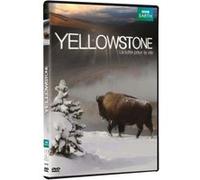 Yellowstone, la lutte pour la vie DVD E