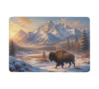 Yellowstone National Park in Winter Tapis à Poils Courts 150 x 100 cm | Tapis intérieur doux avec impression par transfert thermique; adapté à une utilisation toute l'année; pour chambre et salon