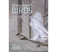 Yellowstone’s Birds: Diversity and Abundance in the World’s First National Park