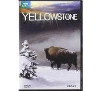 Yellowstone Série Complète (Blu Ray) G
