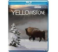 Yellowstone - Tales From The Wild G