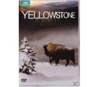 Yellowstone - Tales From The Wild G