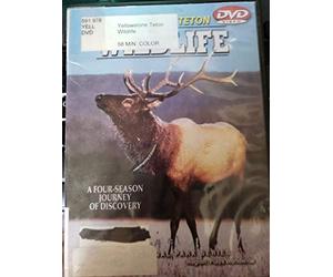 Yellowstone Teton Wildlife [DVD] [Region 1] [US Import] [NTSC]