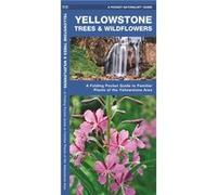 Yellowstone Trees amp Wildflowers A Folding Pocket Guide to Familiar Plants of the Yellowstone Area by Illustrated by Dr Raymond Leung James Kavanagh James Kavanagh (Auteur)
