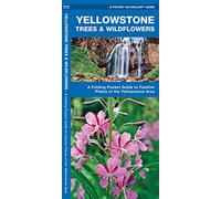 Yellowstone Trees & Wildflowers: An Introduction To Familiar Species Of The Yellowstone Area
