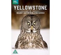 Yellowstone Wildest Winter/Blazing Summr