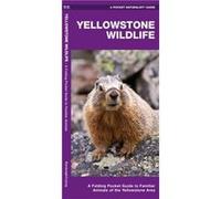 Yellowstone Wildlife, A pocket naturalist guide James Kavanagh (Auteur)