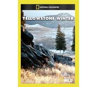 Yellowstone Winter