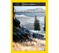 Yellowstone Winter – National Geographic – DVD