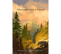 Yellowstone'S Wildlife In Transition (Hardcover) P J White, Robert A Garrott, Glenn E Plumb, Edward O Wilson (Auteur)