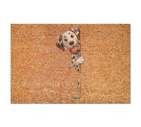 Yelolyio Tapis de bienvenue dalmatien en fibre de coco avec dos antidérapant - Motif chien qui regarde autour du coin - 40,6 x 61 cm - Matériau naturel - Tapis de vœux robuste