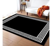 YEMYOR Tapis D'intérieur Noir Simple du Milieu du Siècle, Tapis Géant à Bordure en Spirale Noire Et Blanche, Durable, Antidérapant Et Lavable, Adapté à La Décoration du Sol-120x170cm