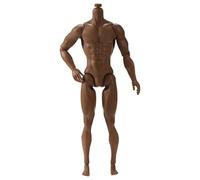 Yeory Figure d'action à l'échelle 1/6, 6 Corps d'action Musculaire mâle Mobile à Plusieurs articulations pour la Collection 'Affichage, Marron, Vide