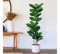 Yepdin Figuier artificiel à feuilles de violon de 1,5 m - Ficus artificiel - Feuilles de violon artificielles en pot pour intérieur et extérieur - Plantes artificielles décoratives grandes