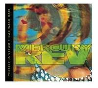 Yerself Is Steam - Car Wash Hair