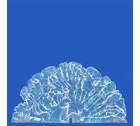 Leafcutter John – Yes Come Parade with Us – CD – Édition limitée