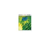 Yes – Fly from Here (Return Trip) – Blu-ray – Digipack