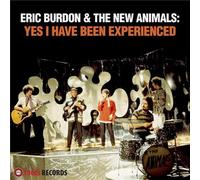 Yes I Have Been Experienced