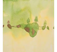 Yes - Live at Knoxville Civic Auditorium (RSD23 EX) [VINYL]