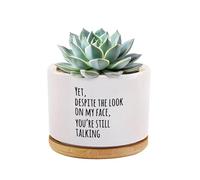 Yet Despite The Look On My Face You Are Still Talking Cadeaux sarcastiques amusants pour collègues, cadeaux de bureau, blague, pot de fleurs succulentes en céramique avec plateau en bambou, décoration