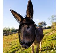 Yeyeplum Masque anti-mouches pour petits ânes avec protection des oreilles - Masque respirant avec longues oreilles - Protection contre les insectes et les insectes - Maille souple avec fermeture