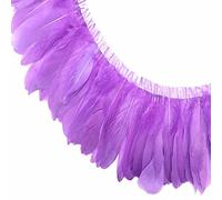YEZINB 2 mètres Plumes de Canard d'oie dépouillé Marron Clair Garnitures Largeur du Ruban 6-8 "Plume d'oies Dentelle pour Artisanat Couture Accessoire Prunes