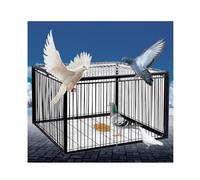 YFAURNDE Cage à Pigeons Cage de Pigeon avec Cage de lucar Agriculture Protection des Cultures Prévention des ravageurs aviaires Oiseaux, Ferme, Verger, Jardin(Black,100 * 60cm)