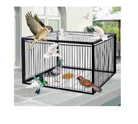 YFAURNDE Cage à Pigeons Pigeon Trap, Piège à Pigeons avec Design Anti-éclatement Piège Anti-Fuite, système de Capture Automatique(Black,60 * 40cm)