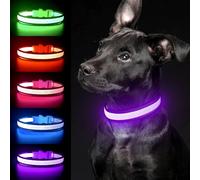 YFbrite Collier lumineux à DEL pour chien - Rechargeable par USB - Collier lumineux de taille réglable pour la sécurité du chien (violet, taille S)