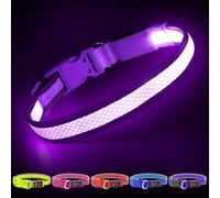 YFbrite Collier lumineux à DEL pour chien rechargeable par USB - Taille réglable - Clignotant - Pour la sécurité des chiens (violet, moyen)