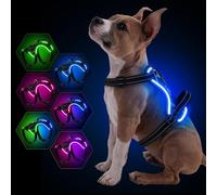 YFbrite Harnais pour chien lumineux - Rechargeable par USB - LED - Harnais réfléchissant pour chien - Lumières pour chien pour harnais - Confortable et réglable(vert, taille L)