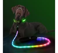 YFbrite Laisse lumineuse imperméable de 1,5 m avec 15 modes de clignotement - Laisse pour chien de petite, moyenne et grande taille - Laisse rechargeable de type C (multicolore, 150 cm)