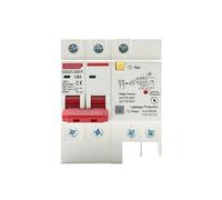 YFHGULBTK Disjoncteur différentiel 230 V 2P SPD avec Protection Contre Les surtensions et surcharges, disjoncteur fuites, 1 pièce(40A)