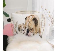 YFHJV Taie Oreiller Microfibre - Housse Coussin Doux, Confortable, Respirant et Hypoallergénique,Animal, Beau Chiot Bouledogue Anglais avec Son père,40x40 cm