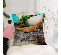 YFHJV Taie Oreiller Microfibre - Housse Coussin Doux, Confortable, Respirant et Hypoallergénique,Lézard Reptile majestueux, Dragon Barbu Brun sur Bois,40x40 cm