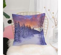 YFHJV Taie Oreiller Microfibre - Housse Coussin Doux, Confortable, Respirant et Hypoallergénique,Tapisserie Hippie, Hiver, rivière gelée dans Un Paysage Hivernal en Laponie finlandaise,40x40 cm