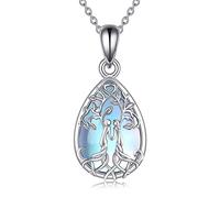 YFN Sœur Cadeaux, Argent Sterling Soeur Toujours Mon Ami Pendentif Collier - Cadeau d'Anniversaire
