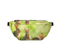 YFSGDLBN Sac banane à bandoulière imprimé lapins amusants, Noir , Taille unique