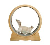 YGDYFDC Jouets pour Chats Verrou de sécurité for Tapis Roulant Cat, Piste silencieuse à Boucle Circulaire porteuse Stable, soigneusement polie Tapis Roulant pour Chat(M)