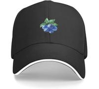 YGHAOWKJR Casquette de baseball classique The Blues Painting Kids Hat Black Snap Back Hat Luxury Hat Elegant Women's Hats Men's