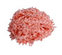 YGMNQAL 5-10yard Elastic Lace Ribbon Black White Color Button Loops DIY Multicolor Handmade Trimming for Clothes Sewing Rubber Band(Light Pink,14mm 10yards)