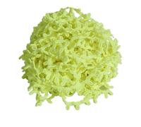 YGMNQAL 5-10yard Elastic Lace Ribbon Black White Color Button Loops DIY Multicolor Handmade Trimming for Clothes Sewing Rubber Band(Bright Yellow,14mm 5yards)