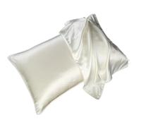 YGMNQAL Taie D Oreiller en Soie Taie d'oreiller en Soie de mûrier 19 Momme Taie d'oreiller en Soie de mûrier Naturelle Solide Housse d'oreiller Respirante et Douce for la Peau(Pearl White,40x60cm)