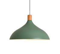 YGZPALH Suspension En Métal, Abat-jour Couleur Macaron, Vert Mat - Avec Chêne