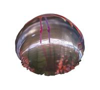 YHBLYKXP Bonnet de douche réglable double couche imprimé flamant rose tropical bonnet de douche réutilisable pour femme spa salon de douche