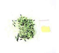 Yhenlovtt Lot de 100 bouchons de flotteur de pêche en plastique rose, lacs, rivières, orange et vert, perles pour truite, doré jaune, 100 pièces (vert)