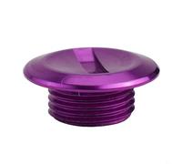 Yhenlovtt Modèles Baitcasting Moulinet Compatible Deuxième Alliage d'aluminium Rocker - Housse pour Premier avec Troisième Poignée Zeorshis (Violet)