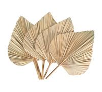 Yheonver Lot de 4 feuilles de palmier séchées - Éventails secs - Lance de palmier séchée - Plantes côtières - Feuilles de palmier tropicales