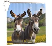 YHLKLWKSZC Rideau de douche 183 x 183 cm, motif ânes mignons, rideaux de douche pour salle de bain, ensemble de rideaux de bain, ensemble de rideaux en polyester et plastique avec 12 crochets